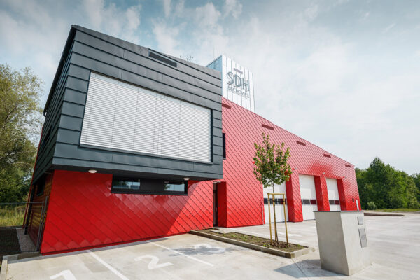 Bull of the year 2014