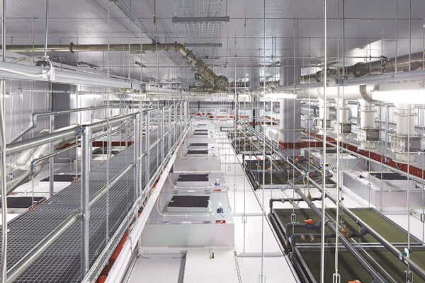 Národní grafenový ústav ve Velké Británii