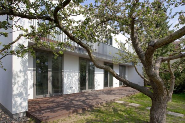 Dům v korunách stromů