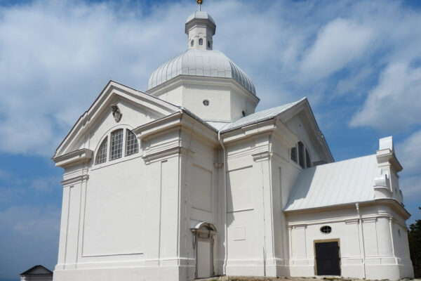 Bull of the year 2015