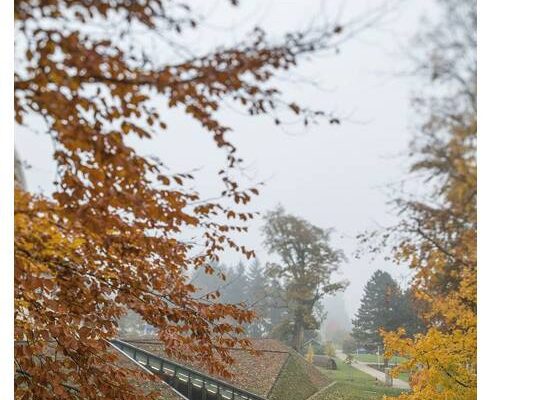 Jana Tichá: Prostor a místo