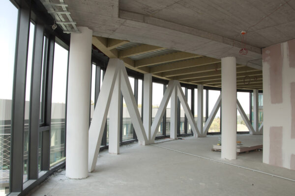 Vzkříšení Waltrovky