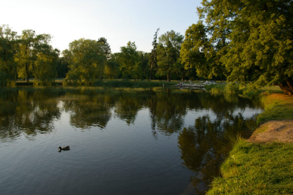 V Praze vznikají dva nové rybníky, letos jich bude celkem šest
