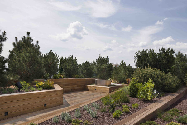 Plocha zelených střech v ČR loni meziročně vzrostla o 15 procent