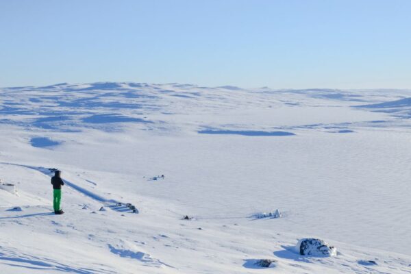 Ice Balls – další severské dobrodružství