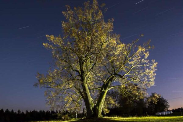 Soubor veletrhů nabídne vše pro stavbu a interiér