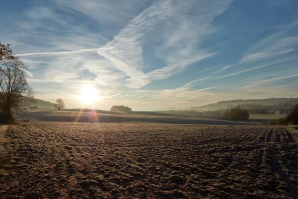 Javornická palírna