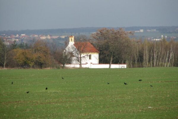 Zahrady se hřbitovem u kaple sv. Václava v Praze-Suchdole