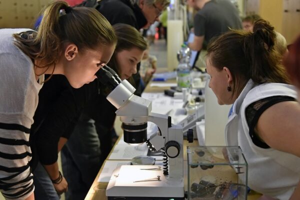 Brněnská technika spouští VUT Junior – technickou univerzitu pro děti