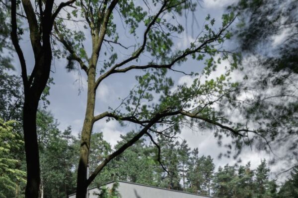 Rodinný dům v Klánovicích