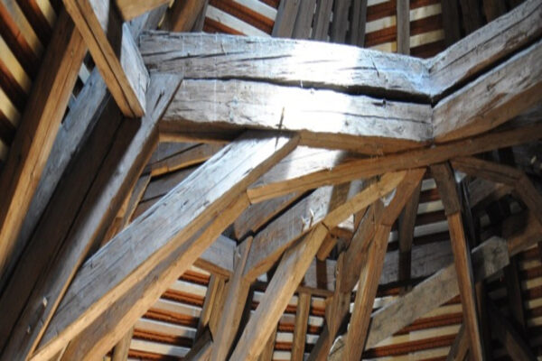 Historie vepsaná do letokruhů dřeva