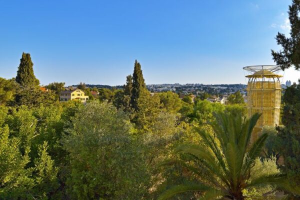 Když rozkvete kaktus, je to svátek