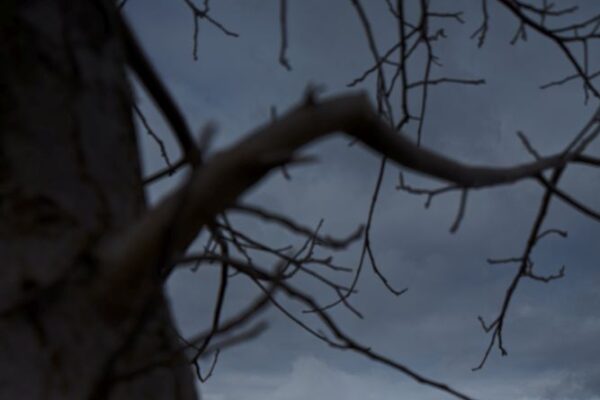 Sportovní hala Dolní Břežany