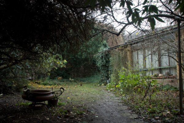 Ateliér Hany Wichterlové by mohl být přístupný