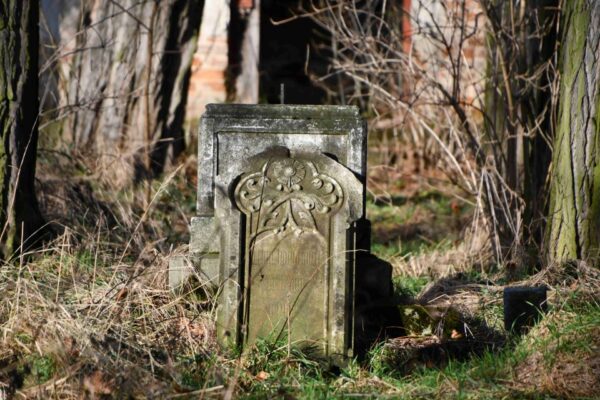 Dobrovolnický workcamp Omnium – Krnovsko a Osoblažsko