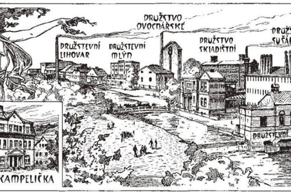 Družstevní hnutí aneb kam přijde zisk z mých peněz?