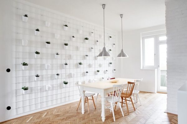 Byt se zelenou stěnou