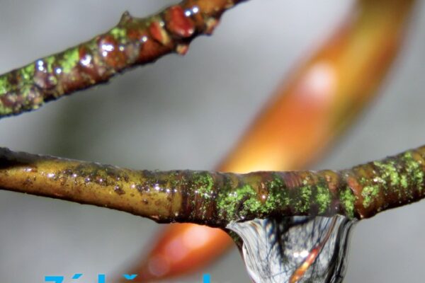 Sucho kolem nás aneb Jak z toho ven