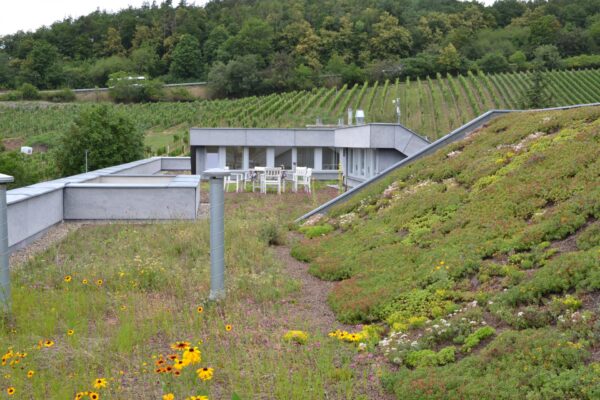 Soutěž Zelená střecha roku 2018 – výsledky