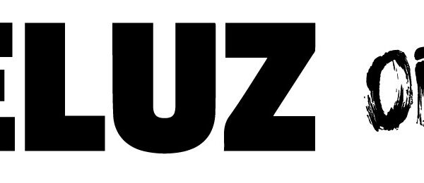 Webinář HELUZ od A do Z umožní on-line diskusi s odborníky