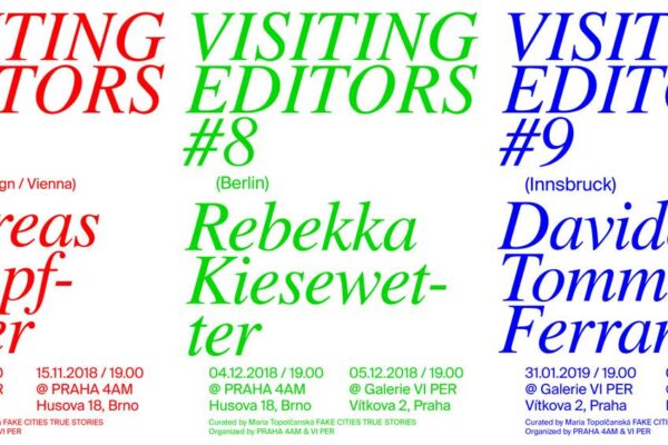 Visiting Editors #7 – Andreas Rumpfhuber (Vienna)
