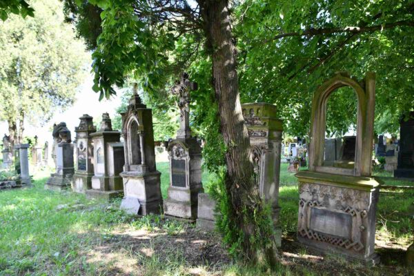 Program akcí spolku Omnium v únoru 2019