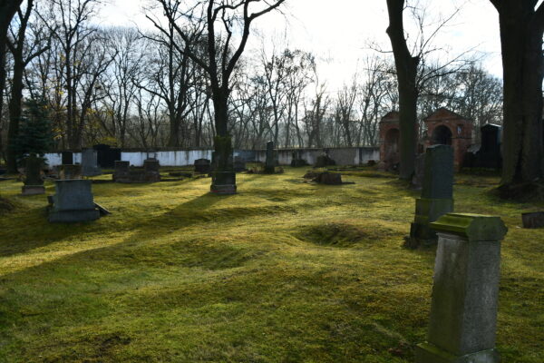 Akce v oblasti ochrany a obnovy památek v březnu