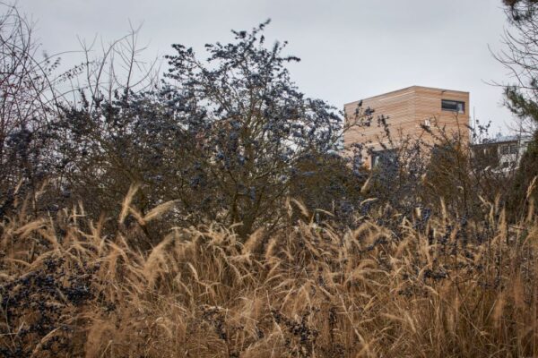 Freedomek Jednašedesátka (MxS)