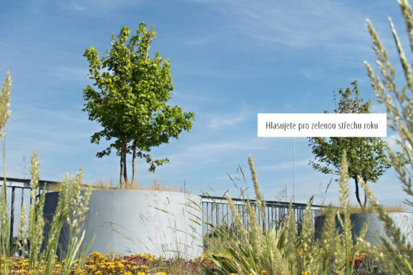 Hlasujte pro Zelenou střechu roku