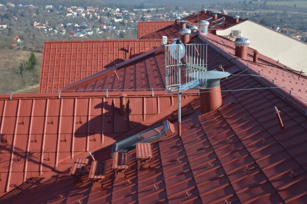 Bull of the year 2018