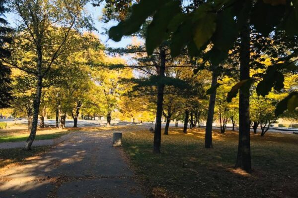 Soutěž na přeměnu parku Střed v Mostě
