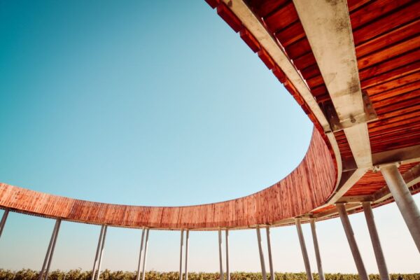 Stezka nad vinohrady