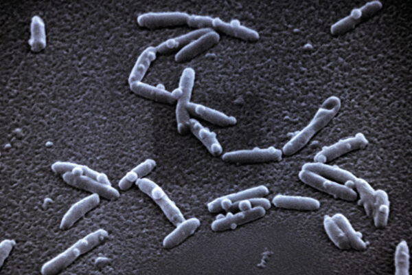 Rozvody vody od společnosti Viega chrání proti Legionelle