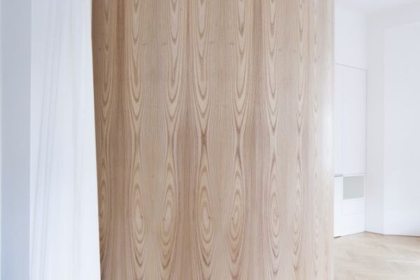 Rekonstrukce bytu Kafkova