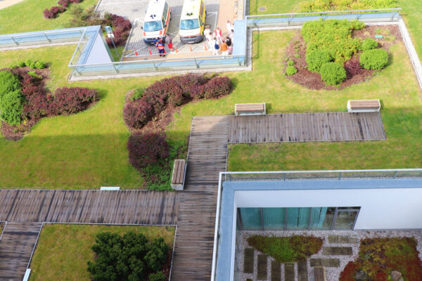 Plzeň poprvé podpoří zelenou střechu na soukromém panelovém domě