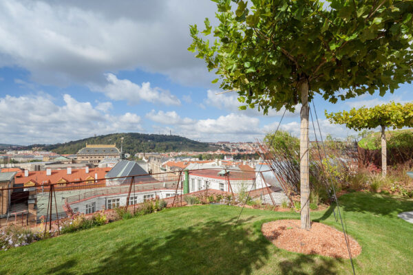 Příroda architektuře sluší