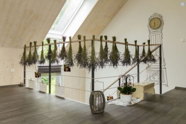 Dům v Kamenném Přívoze