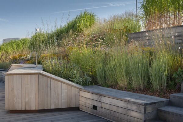 Zelená střecha roku