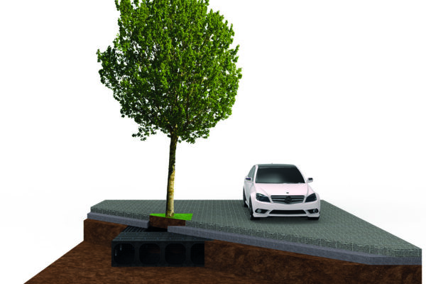 Podmínky udržení zelené infrastruktury ve městech