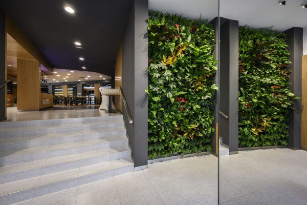 Zelené kaskádové zahrady mají zelenou