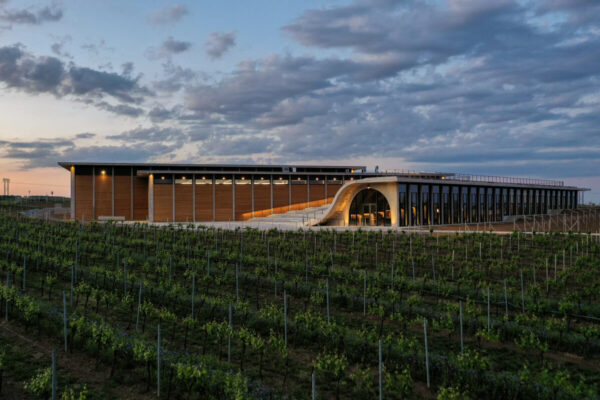 Betonová vlna na vinici: Vinařství Lahofer