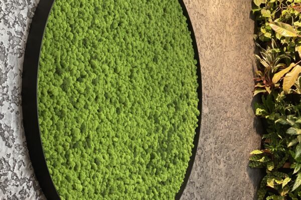 Mechové stěny a obrazy