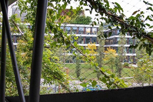 Motorem restartu ekonomiky budou investice do budov, musí ale být kvalitní