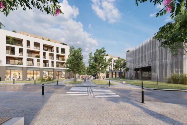 Návrh revitalizace areálu Křižanovy pily