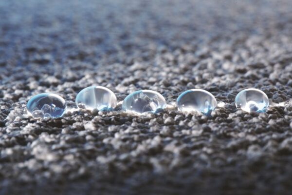 Jak předcházet vzniku a růstu řas a plísní na fasádách