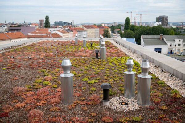 Přehřívání metropolí může řešit výsadba stromů i zelené budovy
