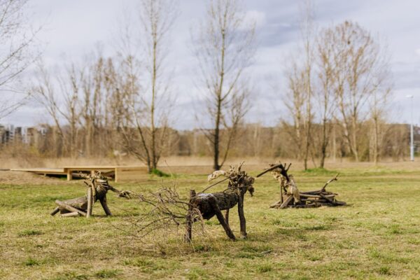 Výstava Rohanský ostrov představuje historii, kulturu i přírodní unikáty Karlína a Libně