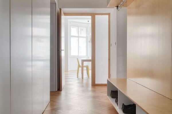 Byt s promítacím sálem