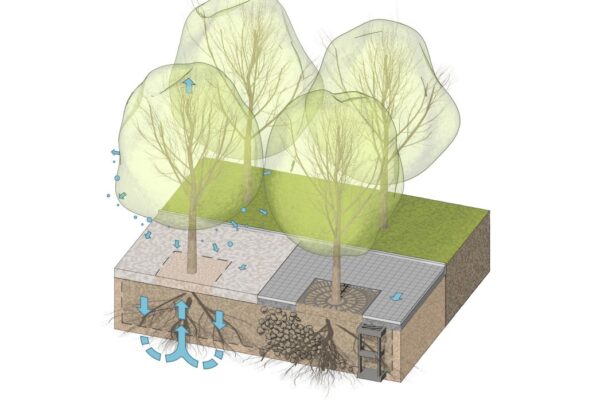 Nové metodiky pomáhají obcím plánovat veřejná prostranství a městům hospodařit s dešťovou vodou