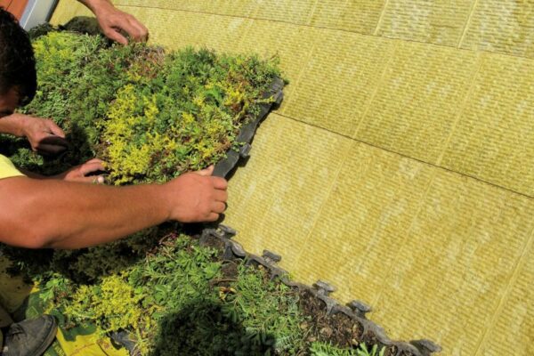 Fenomén zelených střech